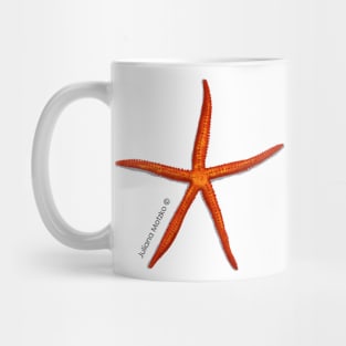 Velvety Sea Star Mug